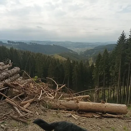 Haus Traumblick Und Alpenzauber Lennestadt