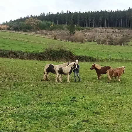 Haeuser Traumblick Und Alpenzauber *