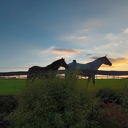 Haeuser Traumblick Und Alpenzauber 度假居