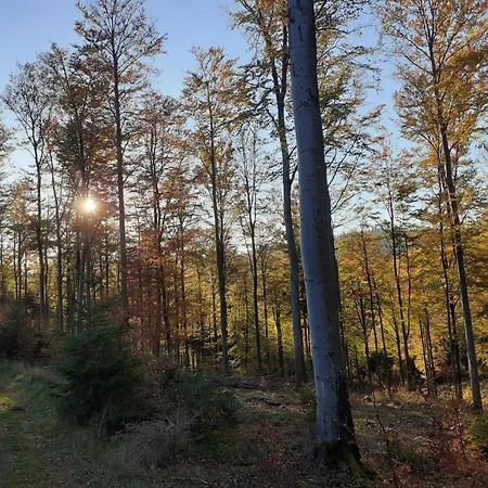 Prázdninový dům Haeuser Traumblick Und Alpenzauber Lennestadt