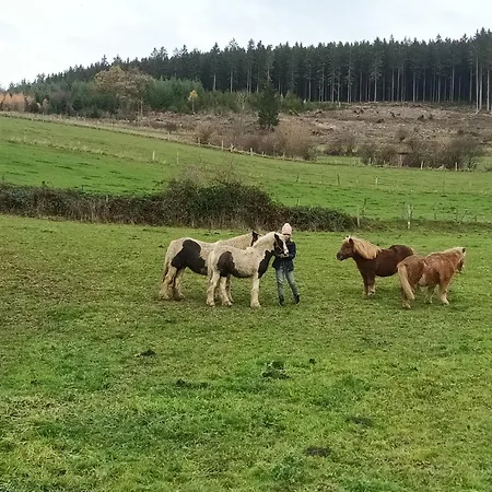 Prázdninový dům Haeuser Traumblick Und Alpenzauber *