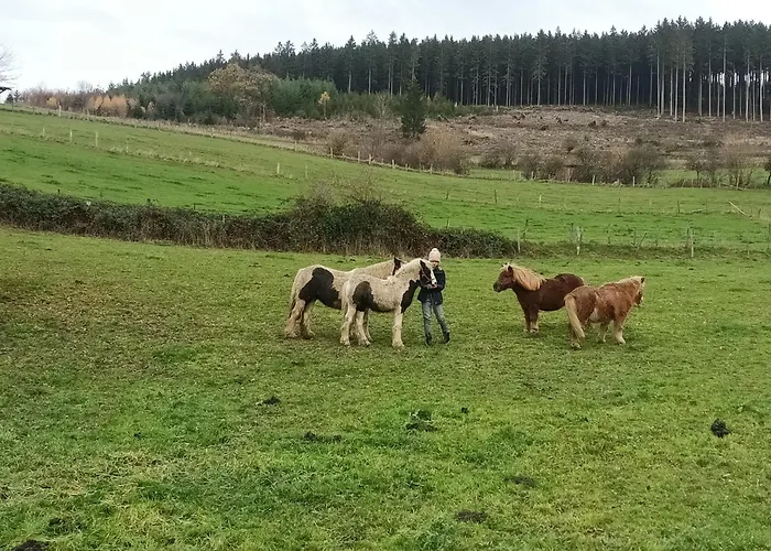 Haeuser Traumblick Und Alpenzauber *