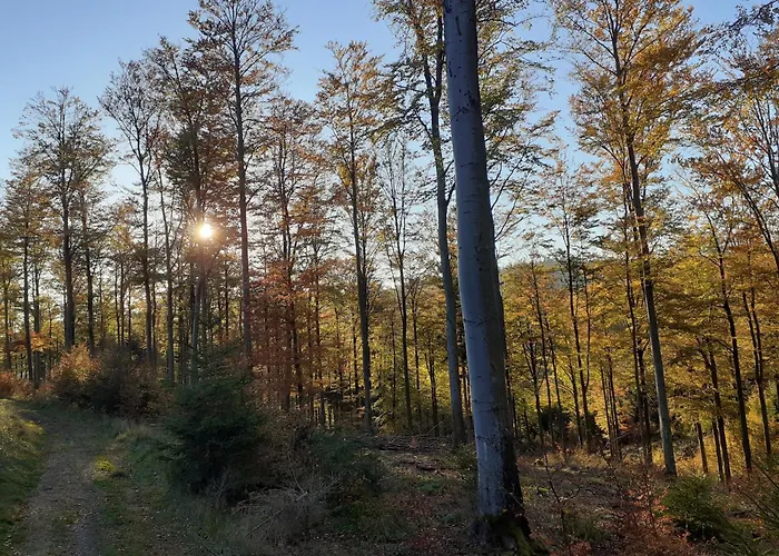 Nyaraló Haeuser Traumblick Und Alpenzauber *